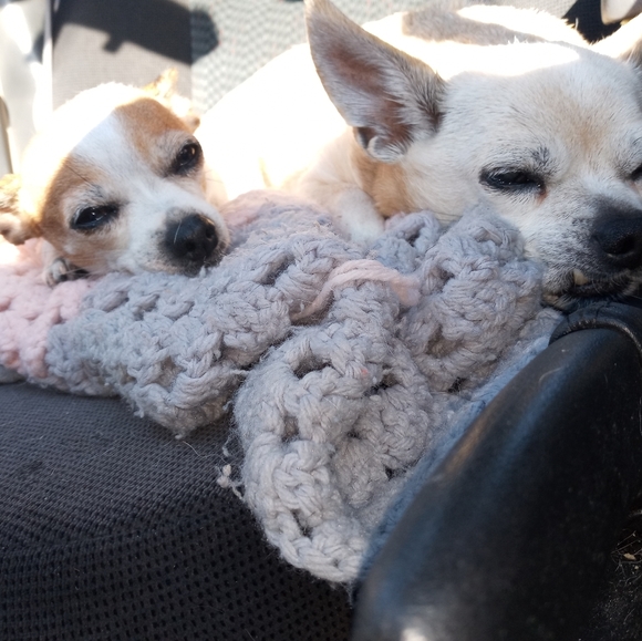 Meet your Posher, Kylee - Picture 6 of 8